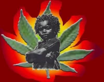 bb rasta
